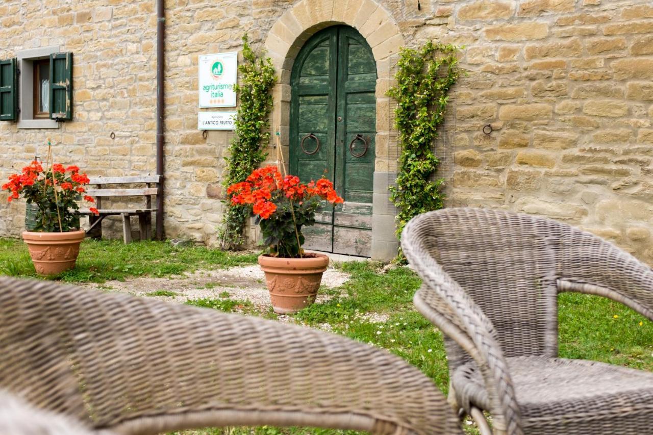 Agriturismo L'Antico Frutto Премилькуоре Экстерьер фото