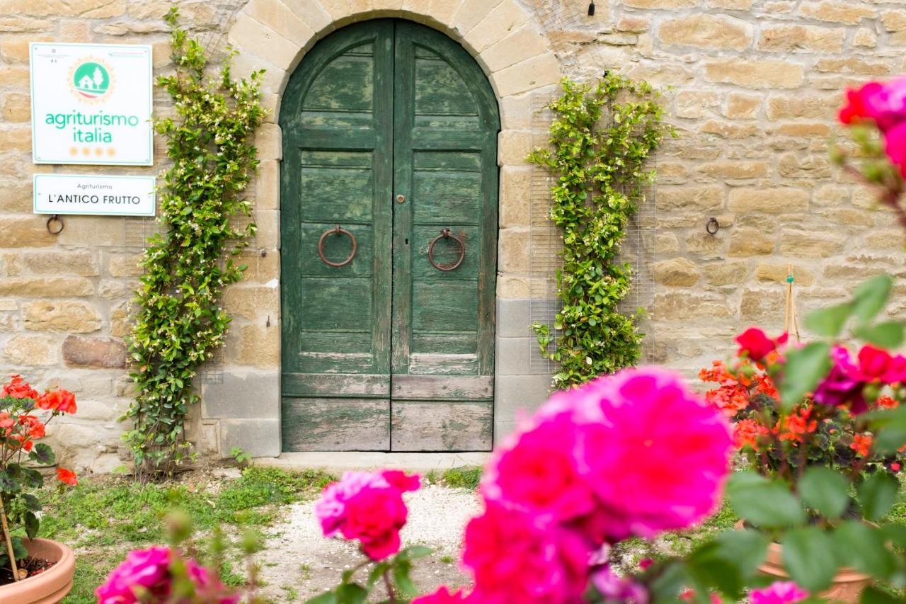 Agriturismo L'Antico Frutto Премилькуоре Экстерьер фото